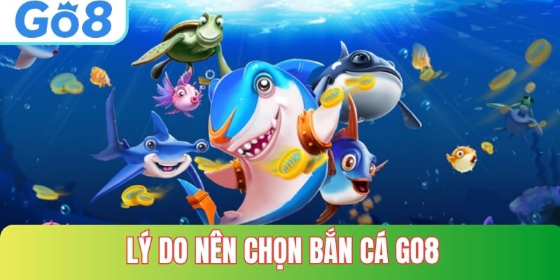 Lý do nên chọn nền tảng Go8