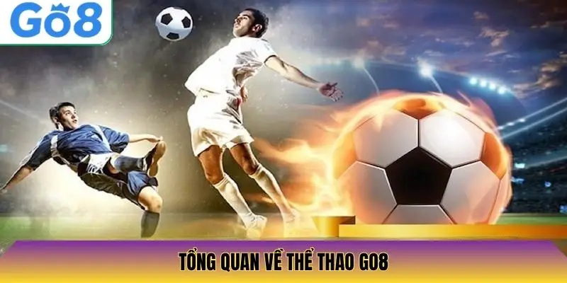 Tổng quan về thể thao Go8